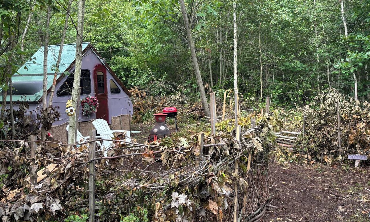 Geneva Cabin | BBHideaway-Romney