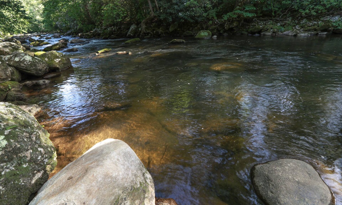 Highlands Cabin | Beautiful Cullasaja River Cabin! Waterfalls, Fish, Swim, Tube, Relax and Unwind!