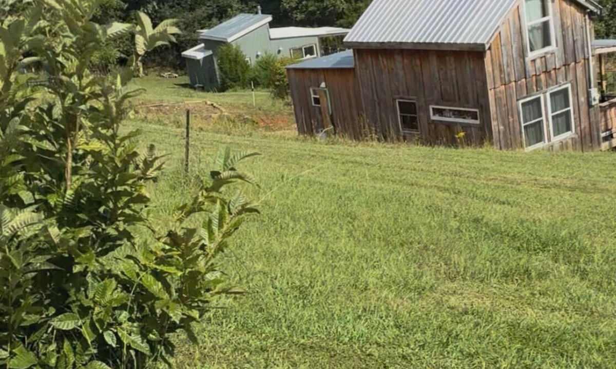 Tazewell Cabin | Beautiful Mountain View surrounded by lakes with fishing ,boating, and hiking