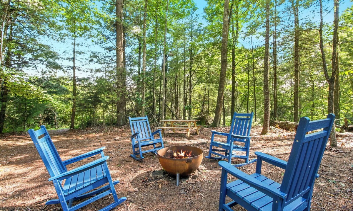 Laurel Springs Cabin | Blue Ridge Parkway/Off-Grid Cabin/Glamping/Turkey Hop Cabin