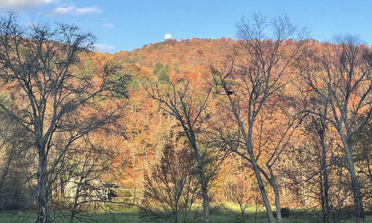 Hiawassee Cabin | Cabin close to Helen and Water