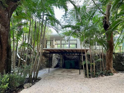 Southwest Coconut Grove House | Coconut Grove Mid-Century Jungle Oasis