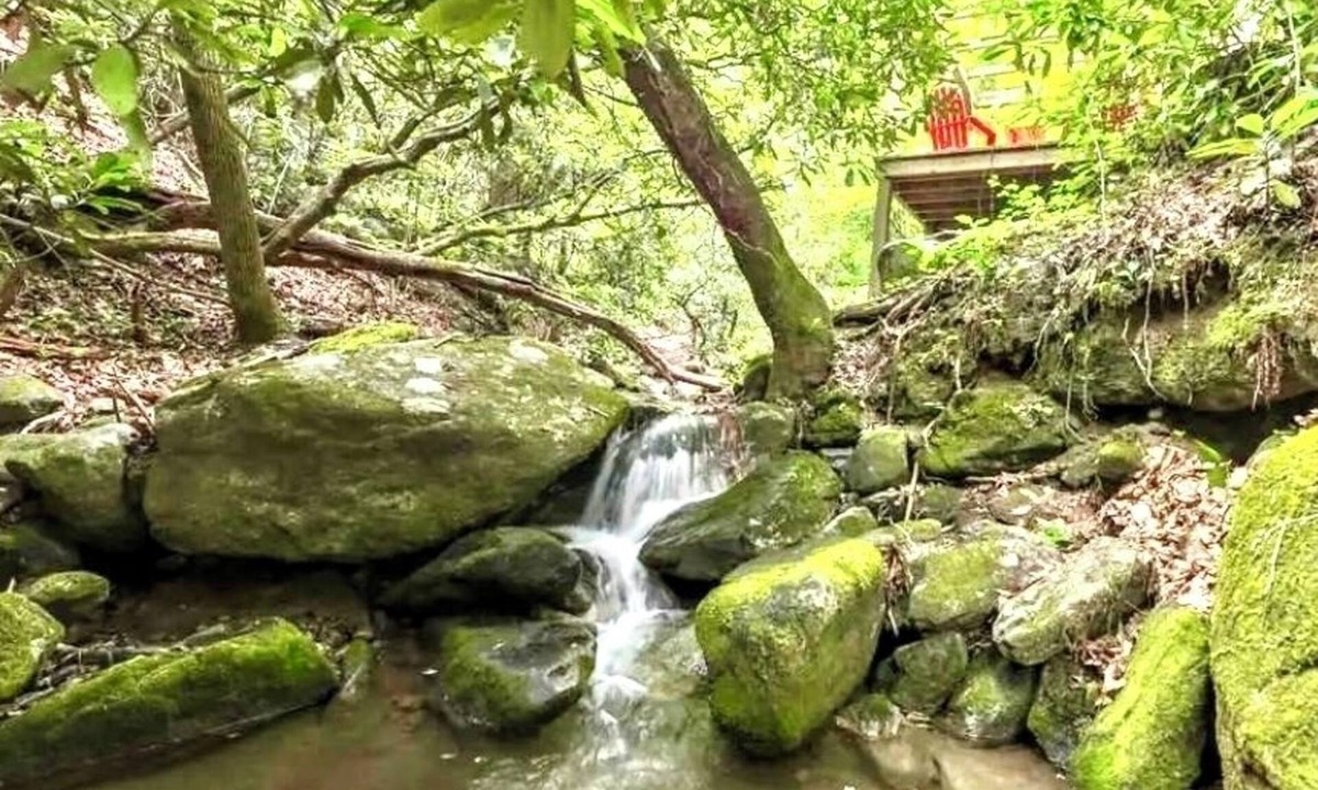 Highlands Cabin | Dancing Bear: Top rated on 2 Private Creek acres w screened porch, WiFi, Grill
