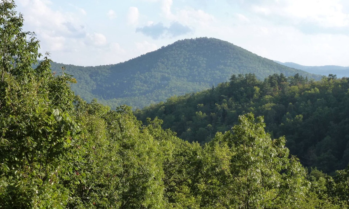 Black Mountain Cabin | Farside Cabin Secluded mountain top getaway with mountain views & rustic charm