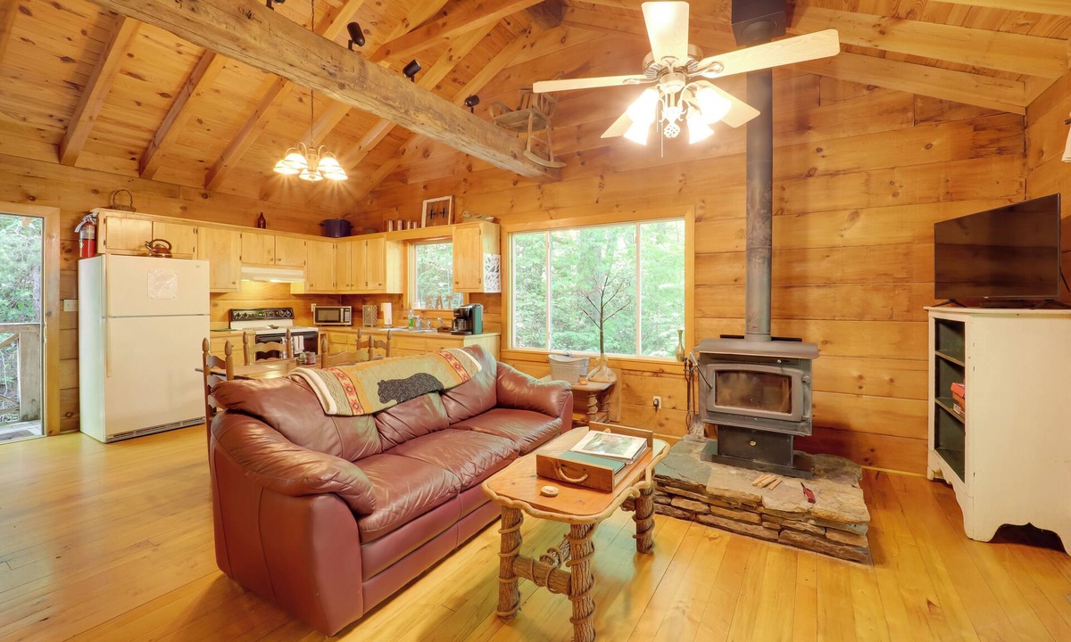 Vein Mountain Cabin | Hot Tub & Trail Access: 92-Acre Retreat in Marion!