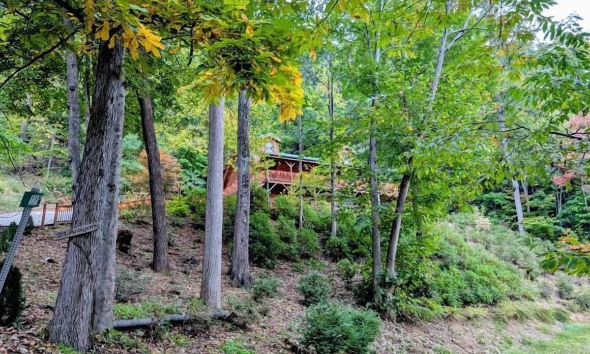 Sherwood Forest Cabin | Linda's Haven - 3BR, 3 BA, Views, HT, FP, Game Room