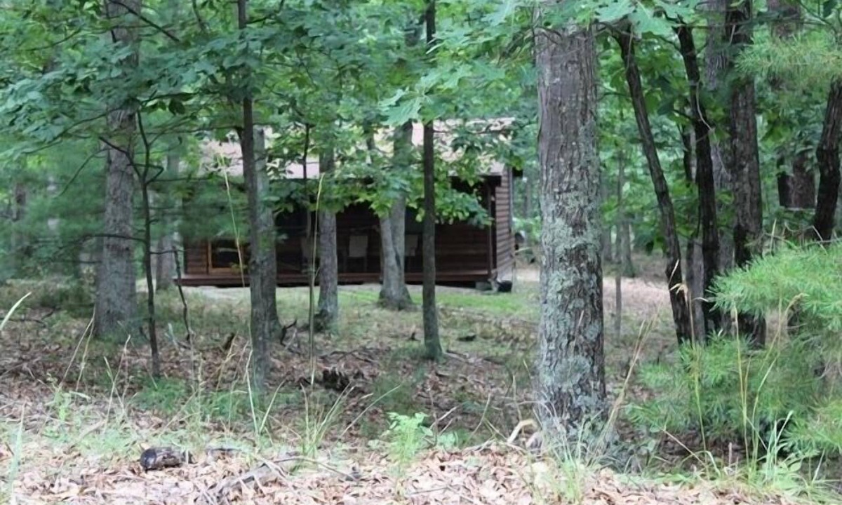 Upper Tract Cabin | Nature's Paradise in Upper Tract near Smoke Hole