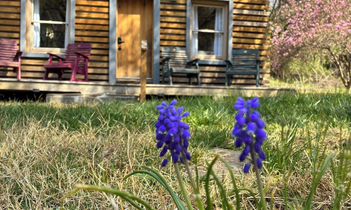 Berryville Cabin | Peaceful mountain cabin in charming Berryville VA - next to river and brewery