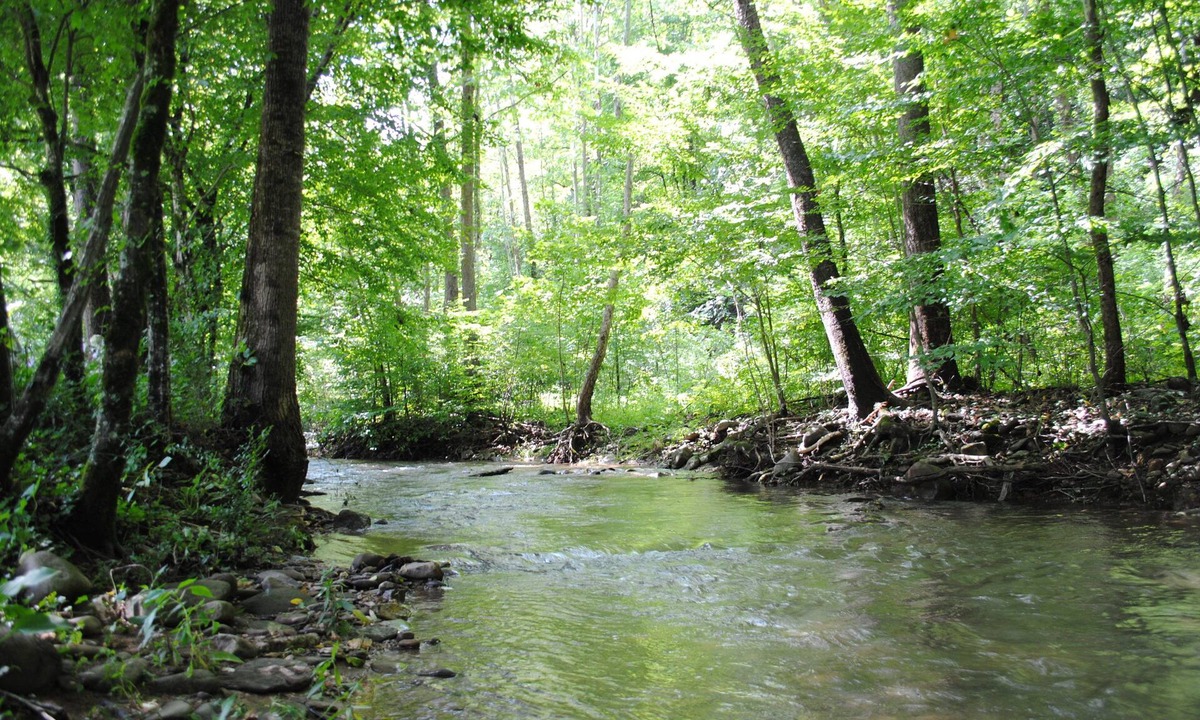 Pigeon Forge Cabin | Private, Creek, 2 mls to Pkwy, Lg yard, games,fire pit, pet/motorcycle friendly