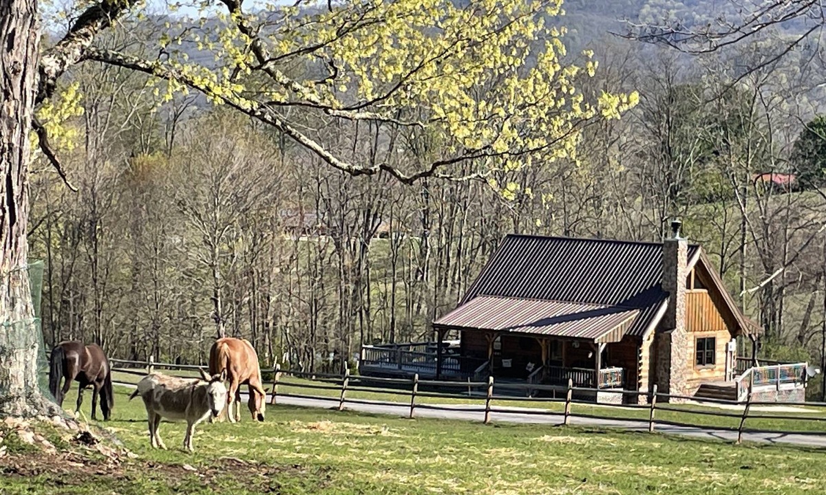 Dryfork Cabin | Romantic "Morning Glory” for 2 has a tranquil setting across from a horse farm!