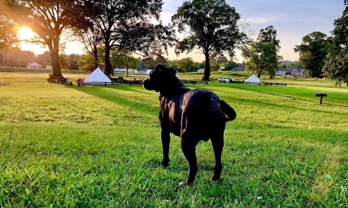 Lebanon Cabin | Rustic Farmhouse Stay with Country Breakfast & Private Bath near Old Hickory Lake – Gallatin, Tennessee
