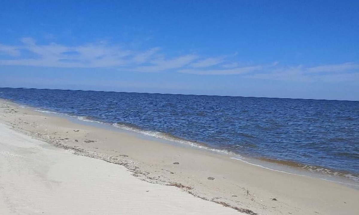 Alligator Point House | Secluded Florida Beach Bungalow- BEST OF BOTH WORLDS BEACH TIME & FISHING TIME!