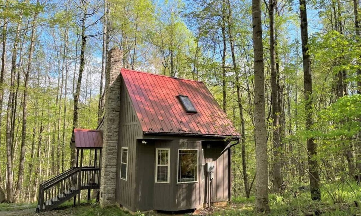 Meadows Of Dan Cabin | Wildcat Forest by Buffalo Mountain Getaway