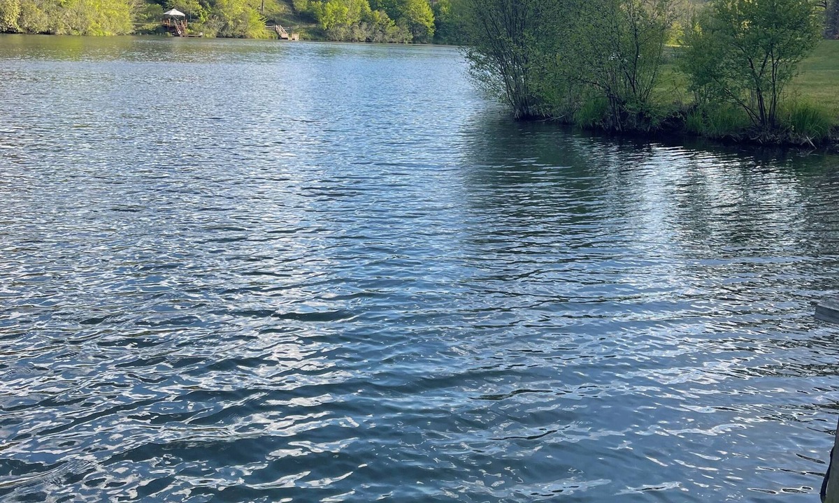 Murphy Cabin | Wonderful family friendly, 3-bedroom LAKE FRONT cabin with dock in Murphy, N.C.!