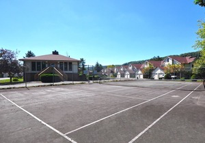 Cheerful & Charming 2 Bedroom Condominium w/ Communuity Indoor Pool! in McHenry