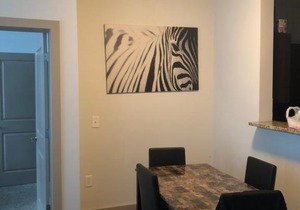Luxury Highrise Loft Downtown ATL in Atlanta