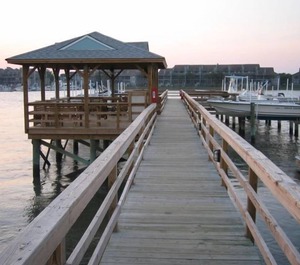 Water Edge 