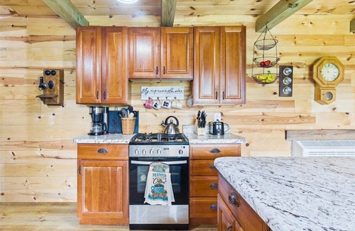 Etowah Cabin | 2 Bedroom Cabin: Starr Mountain Views, Starlink, Grill, Fire Pit, Pet Friendly