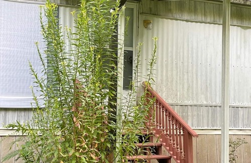 Greenup House | 2-bedroom trailer, with WiFi in Greenup County, in the middle of 260 acres.
