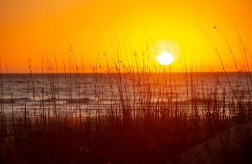 Oceanside House | 34 North Live Oak at The Sea Pines Resort