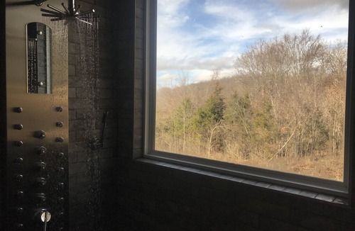 Marshall House | 4BR, 4 Private Acres, Fire Pit, Near Buffalo River and Canoe Rentals