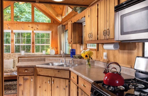 Candler Cabin | Balsam Mountain Cabin - Engadine Inn and Cabins