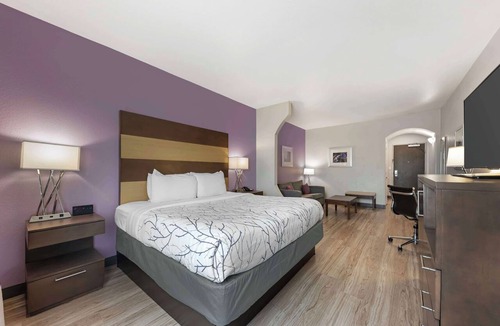 Buda Hotel | Best Western Plus Buda Austin Inn & Suites