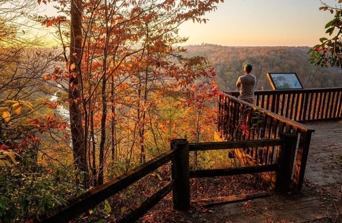 Strunk Cabin | 𝐁𝐢𝐠 𝐒𝐨𝐮𝐭𝐡 𝐅𝐨𝐫𝐤 Retreat! Excellent Location Private WIFI~ Enjoy 𝐓𝐫𝐞𝐞 𝐓𝐨𝐩 𝐋𝐨𝐝𝐠𝐞!
