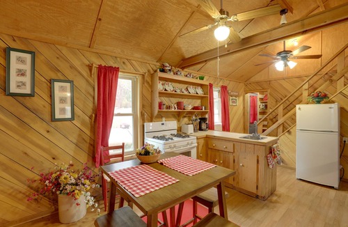 Hot Springs Cabin | Blue Ridge Hideaway! Cabin w/River Access & Views