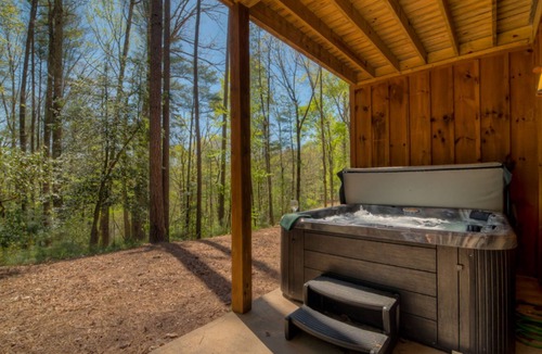 Cherry Log Cabin | Buckingham Palace by Escape to Blue Ridge