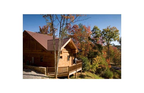 Almond Cabin | Cabin ∙ 1 bedroom ∙ 2 guests