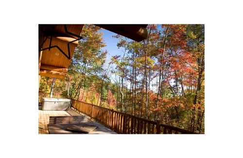 Almond Cabin | Cabin ∙ 1 bedroom ∙ 2 guests
