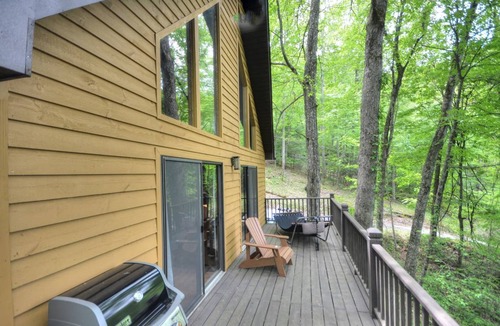 Robbinsville Cabin | Cabin ∙ 2 bedrooms ∙ 4 guests