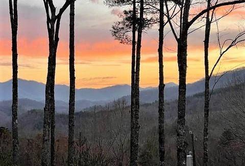 Almond Cabin | Cabin ∙ 2 bedrooms ∙ 4 guests