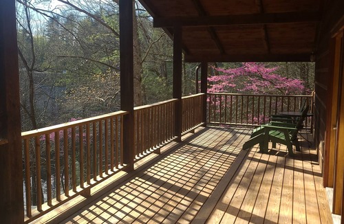Butler Cabin | Cabin in the Woods w/Lake Views!