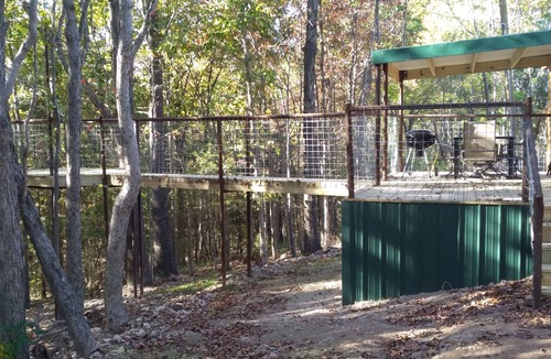 Marshall Cabin | Cabin with a tree house on a working buffalo farm near the Buffalo River.