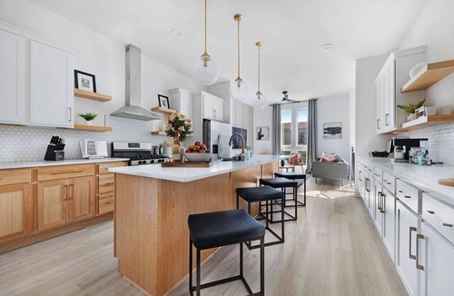 East Nashville House | Camellia | Rooftop & Pet-Friendly Stay