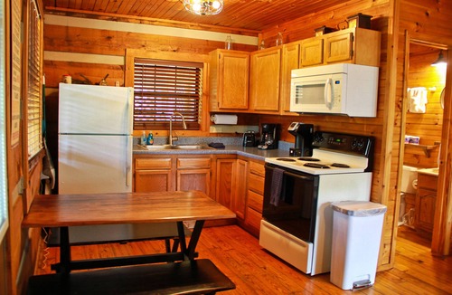 Townsend Cabin | Charming Cabin in the Smokies-HOT TUB/JACUZZI/WIFI - Cedar Cove
