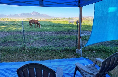 Cortez Apartment | Charming Tiny Home/school bus conversion in marvelous Cortez with WiFi