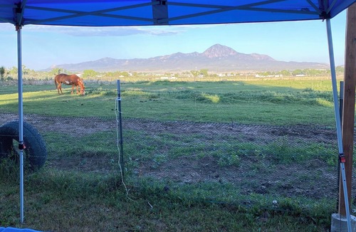 Cortez Apartment | Charming Tiny Home/school bus conversion in marvelous Cortez with WiFi