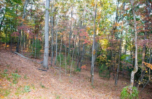 Mountain Rest Apartment | Close to the Chattooga, outdoor adventures and Chattooga Belle Farm!