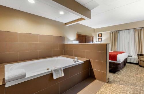 Graysville Hotel | Comfort Inn & Suites Hamilton Place