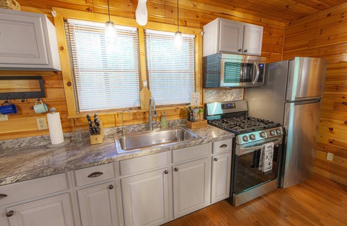 Zionville Cabin | Cool Off this Summer in your own 3 acre Mountain Forest!