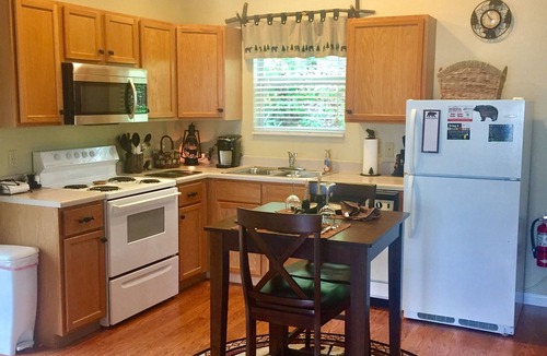 Chalet Village Ski Chalet | Couple’s Mtn Getaway;Borders GSMNP;Seasonal Mtn views; Allergen-Free