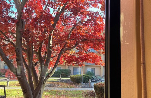 Fishkill Hotel | Courtyard by Marriott Fishkill