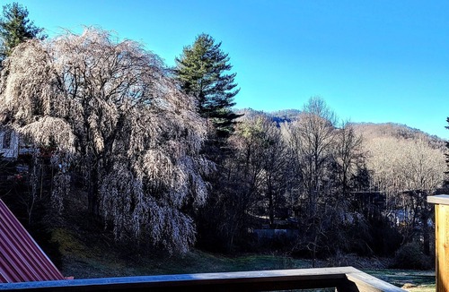 Black Mountain Apartment | Cozy, arts and crafts loft located in the WNC mountains in Black Mtn, NC