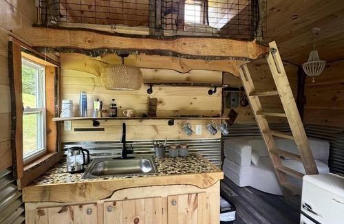 Hillsville Cabin | Cozy Tiny Cabin by the Creek for a Unique Pet-Friendly Getaway in Hillsville, Virginia