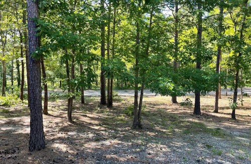 Pickens House | Cross Timbers Cabin on Private 12.5 Acres + Hot Tub