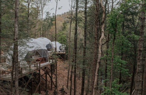Cherry Log House | Dome 6 (Jane)