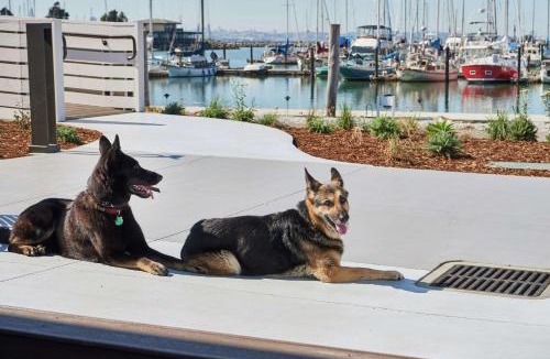 Berkeley Hotel | DoubleTree by Hilton Hotel Berkeley Marina